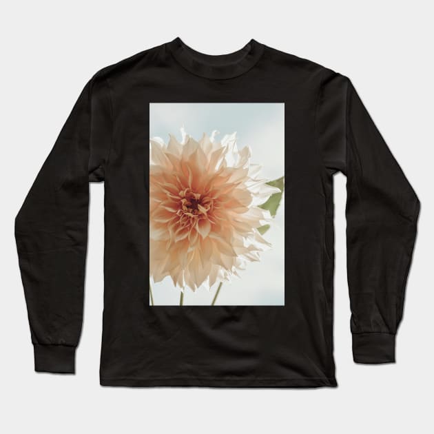 Oh, Hello x Modern botanical dahlia flower photograph Long Sleeve T-Shirt by oliviastclaire